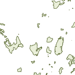 papa-capim-de-coleira (Dolospingus fringilloides)